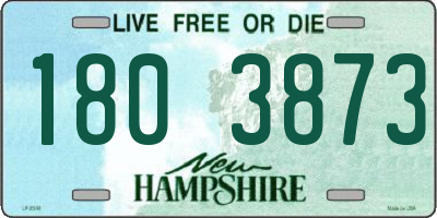 NH license plate 1803873