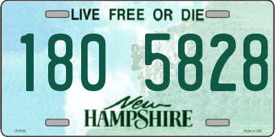 NH license plate 1805828