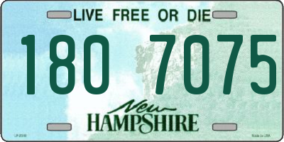 NH license plate 1807075