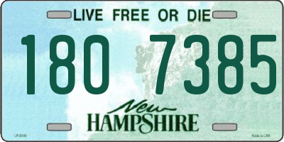 NH license plate 1807385