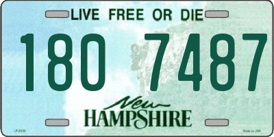 NH license plate 1807487