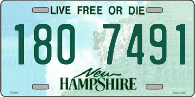 NH license plate 1807491