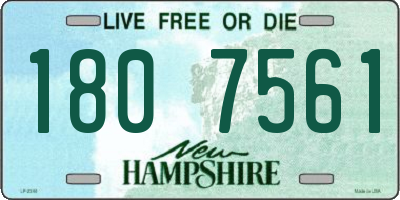 NH license plate 1807561