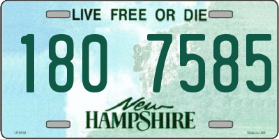 NH license plate 1807585