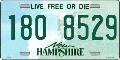 NH license plate 1808529