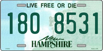 NH license plate 1808531