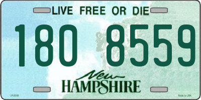 NH license plate 1808559