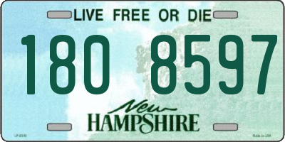 NH license plate 1808597