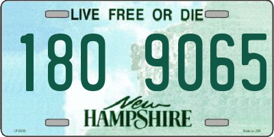 NH license plate 1809065