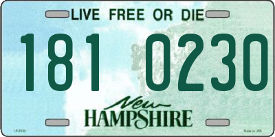 NH license plate 1810230