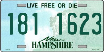NH license plate 1811623