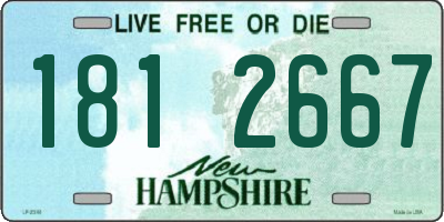 NH license plate 1812667