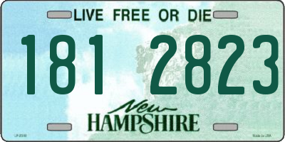 NH license plate 1812823
