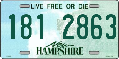 NH license plate 1812863