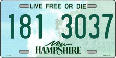 NH license plate 1813037