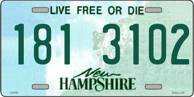 NH license plate 1813102