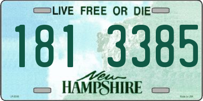 NH license plate 1813385