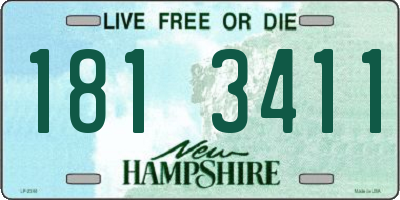 NH license plate 1813411