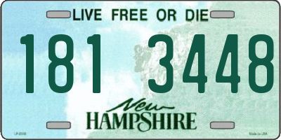 NH license plate 1813448
