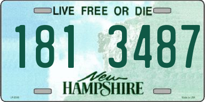 NH license plate 1813487