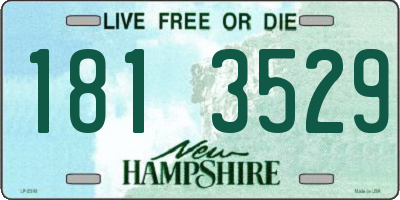 NH license plate 1813529