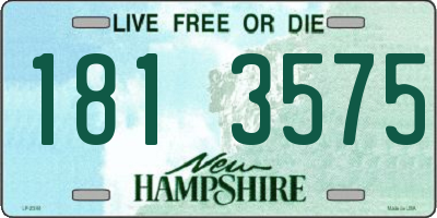 NH license plate 1813575