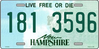 NH license plate 1813596