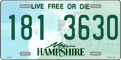 NH license plate 1813630