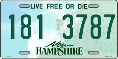 NH license plate 1813787