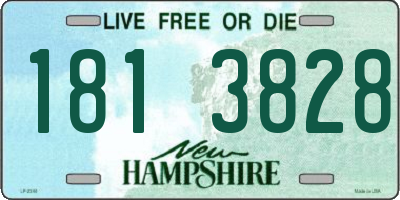 NH license plate 1813828