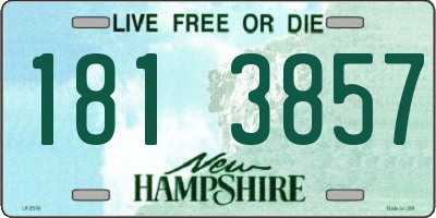 NH license plate 1813857