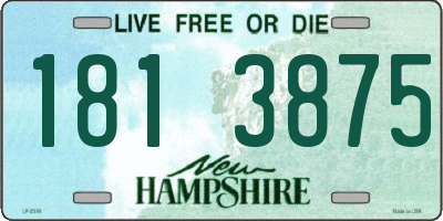NH license plate 1813875