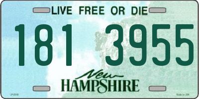 NH license plate 1813955