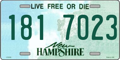 NH license plate 1817023