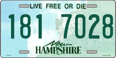 NH license plate 1817028