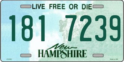 NH license plate 1817239