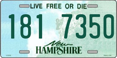NH license plate 1817350
