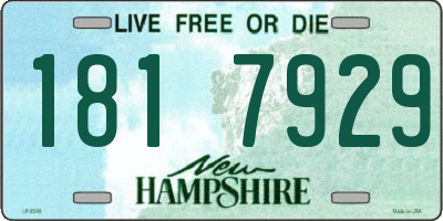 NH license plate 1817929