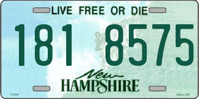 NH license plate 1818575