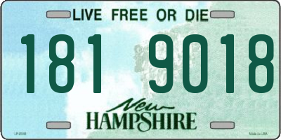NH license plate 1819018