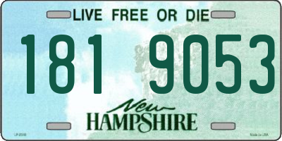 NH license plate 1819053
