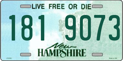 NH license plate 1819073