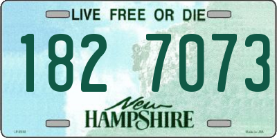 NH license plate 1827073