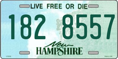 NH license plate 1828557