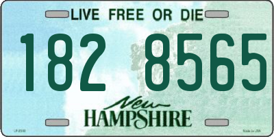 NH license plate 1828565