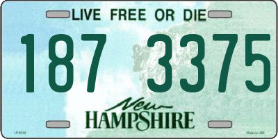 NH license plate 1873375