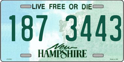 NH license plate 1873443