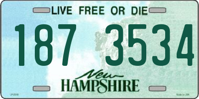 NH license plate 1873534