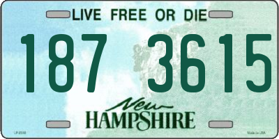 NH license plate 1873615