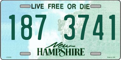 NH license plate 1873741